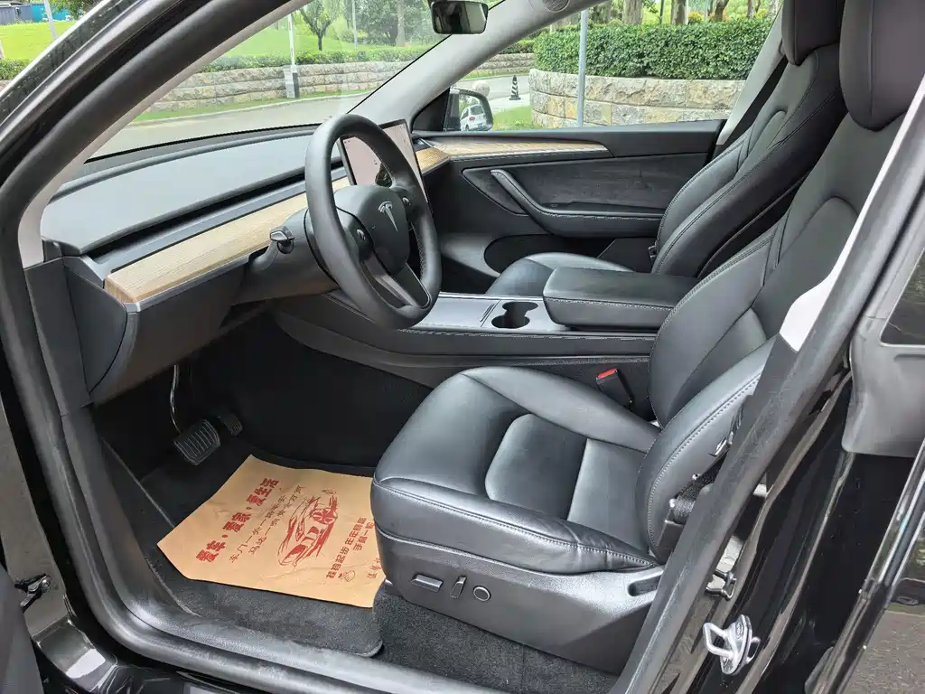 Tesla Model Y — миниатюра 4