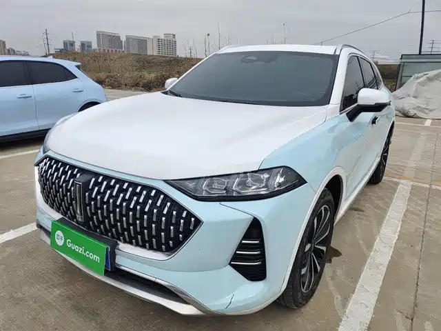 WEI PAI WEI BRAND MOCHA