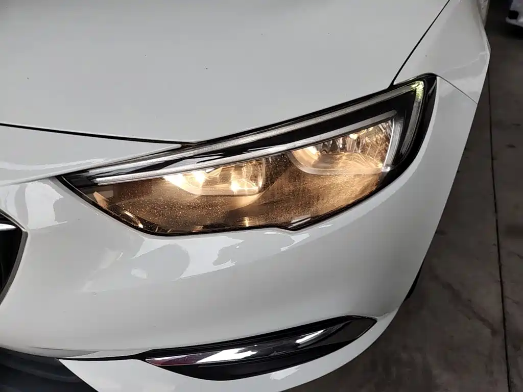 Buick Regal — миниатюра 24