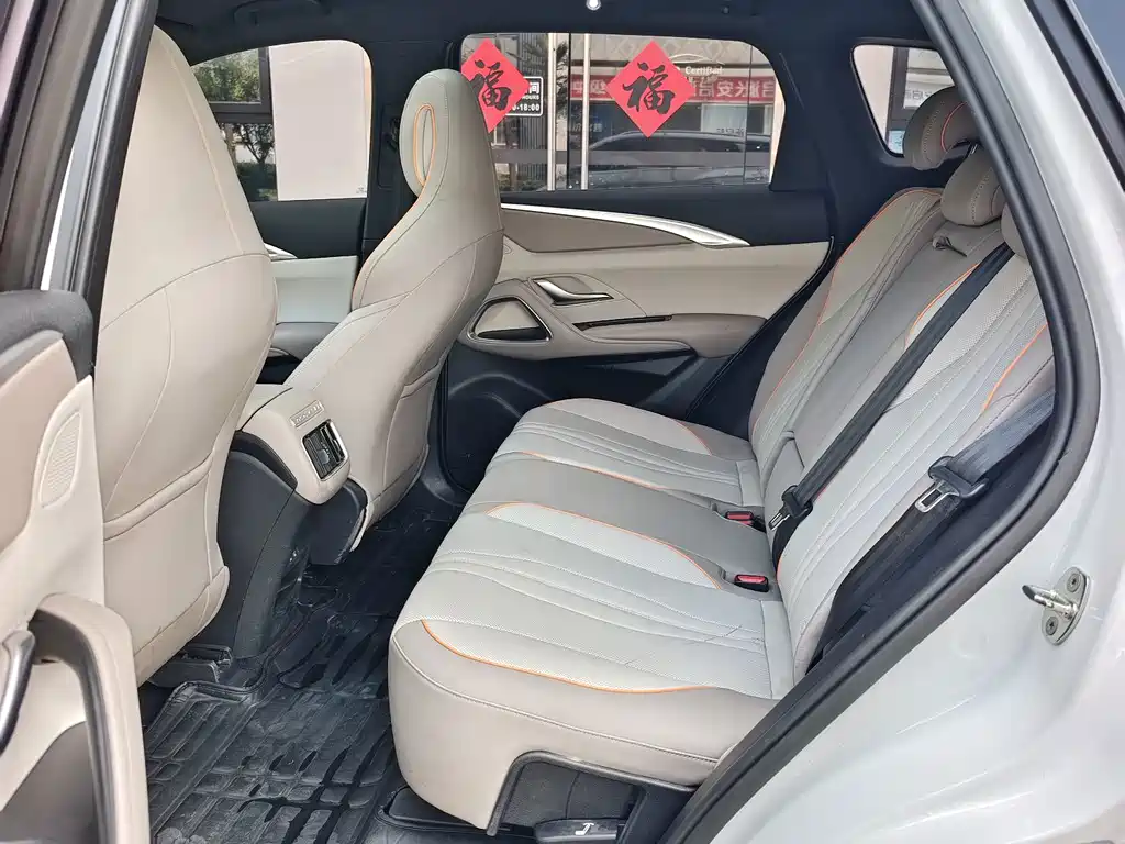 BYD Pro New Energy — миниатюра 4