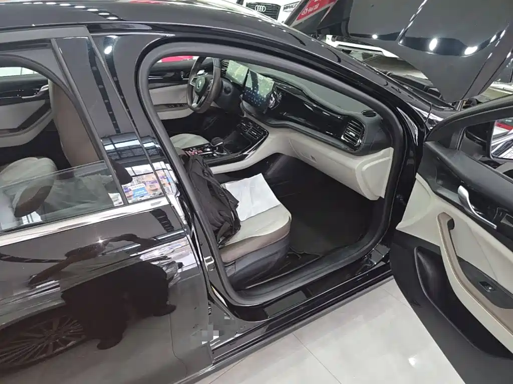 BYD Qin PLUS — миниатюра 9