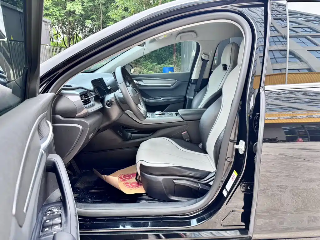 BYD Destroyer 05 2023 Champion DM-i 55KM Luxury