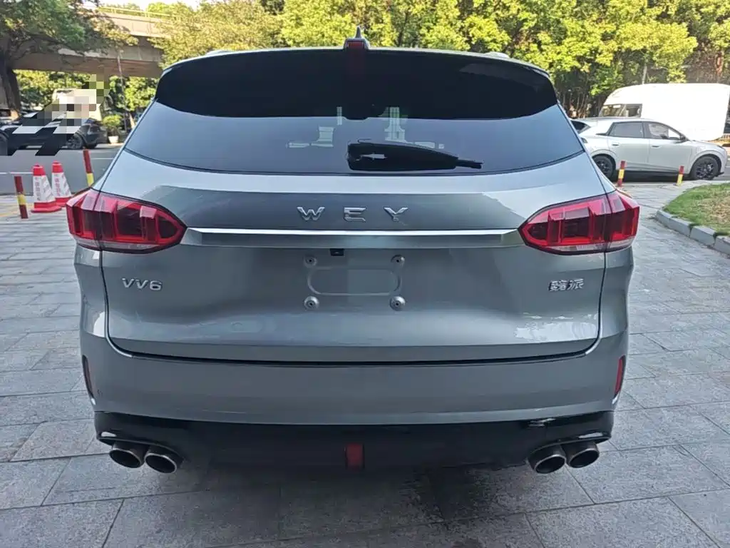 Wey Wey VV6 — миниатюра 6