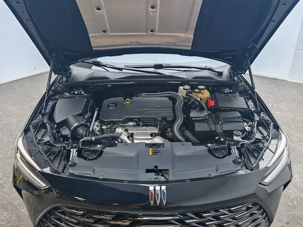 Buick Regal — миниатюра 12