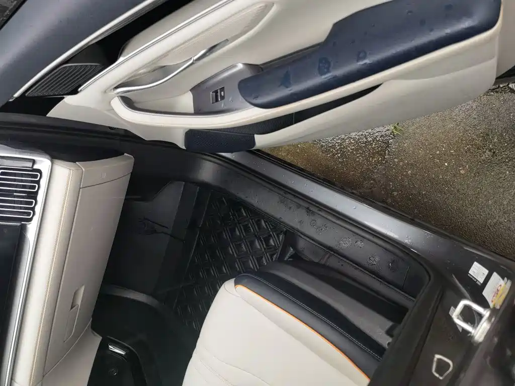 BYD PLUS New Energy — миниатюра 20