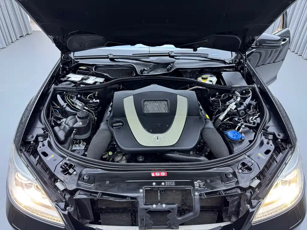 Mercedes-Benz S-Class S 2010 S 350 L Luxury