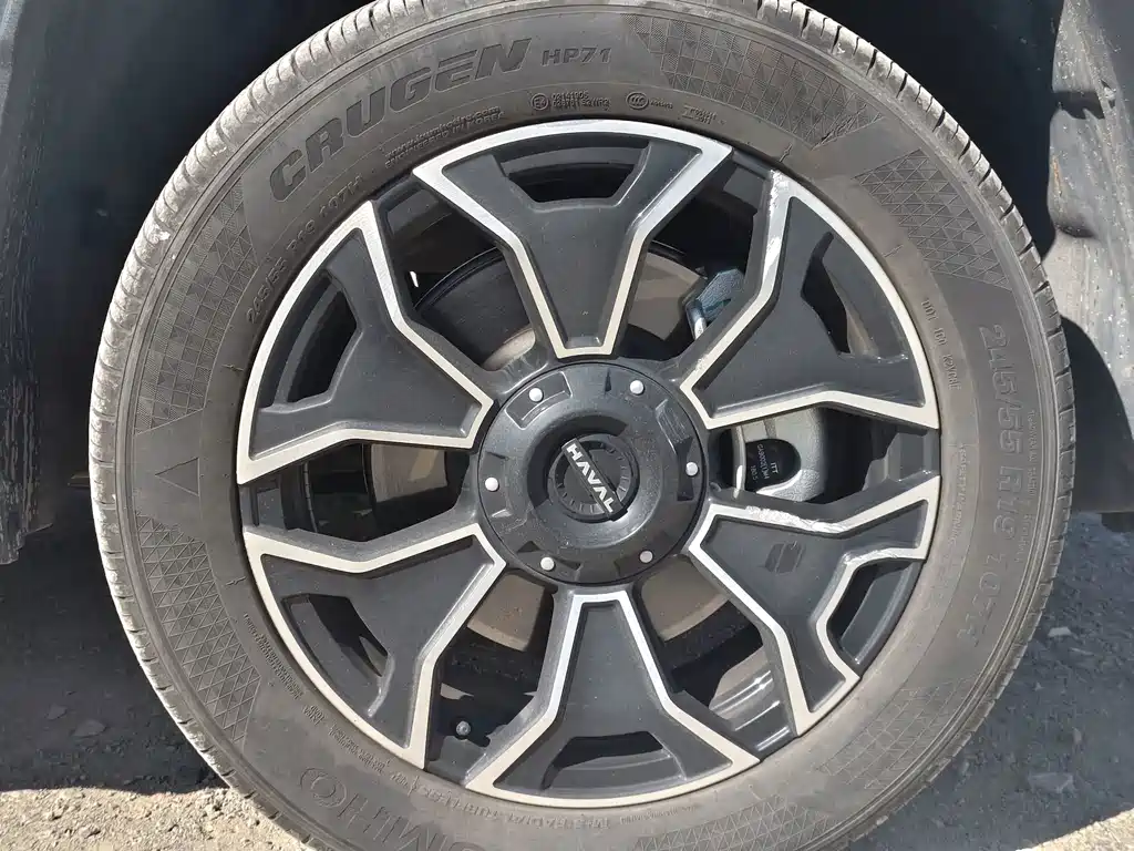 Haval Big Dog PLUS New Energy — миниатюра 23