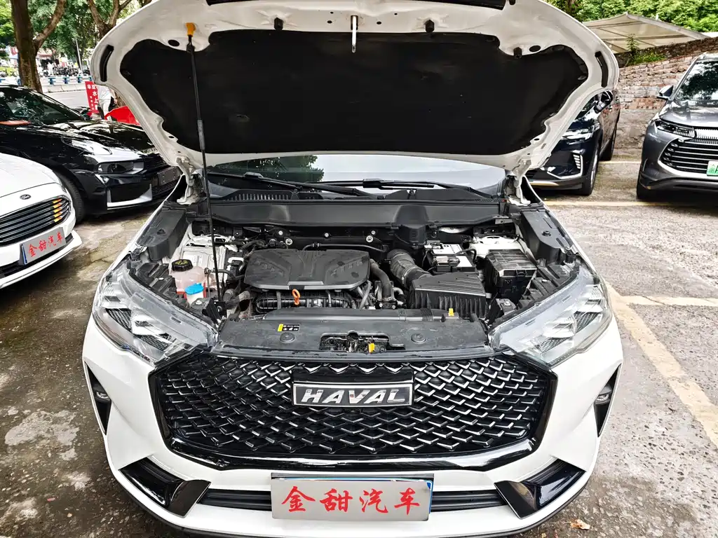 Haval H6 — миниатюра 15