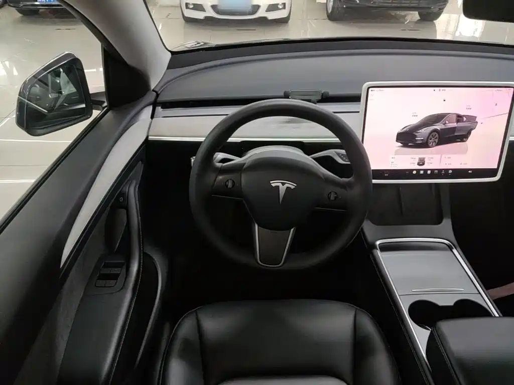 Tesla Model Y — миниатюра 11