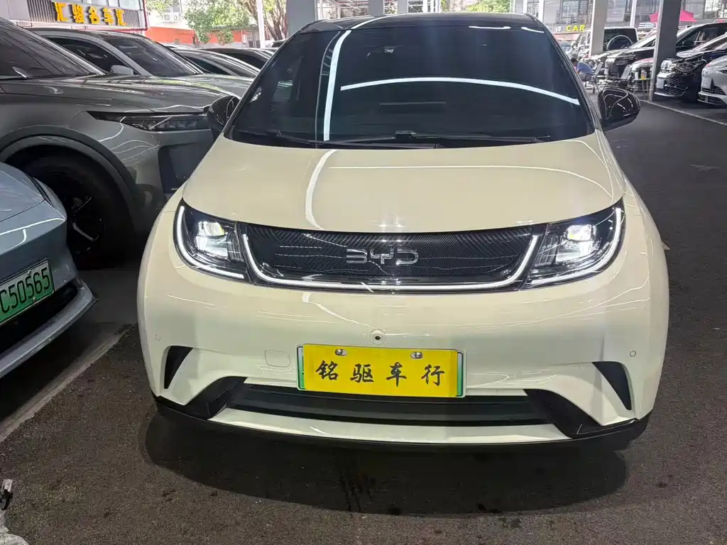 BYD Dolphin — миниатюра 2