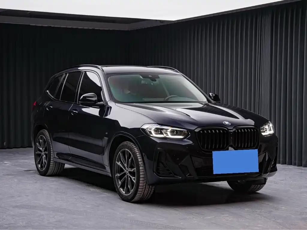 BMW X3 — миниатюра 3