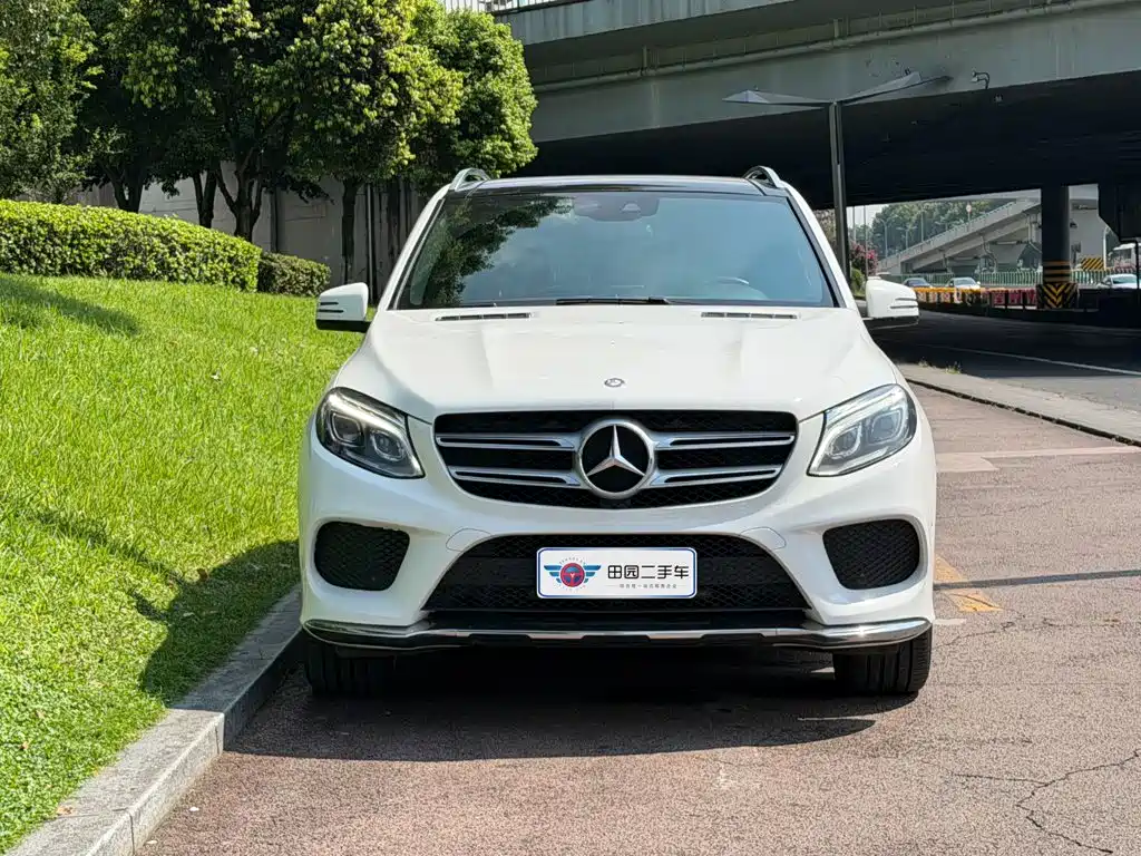 Mercedes-Benz 奔驰GLE(进口) — миниатюра 2