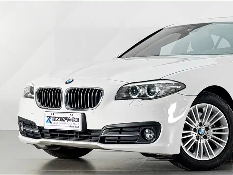 BMW 5 Series 5 2014 525Li Lead