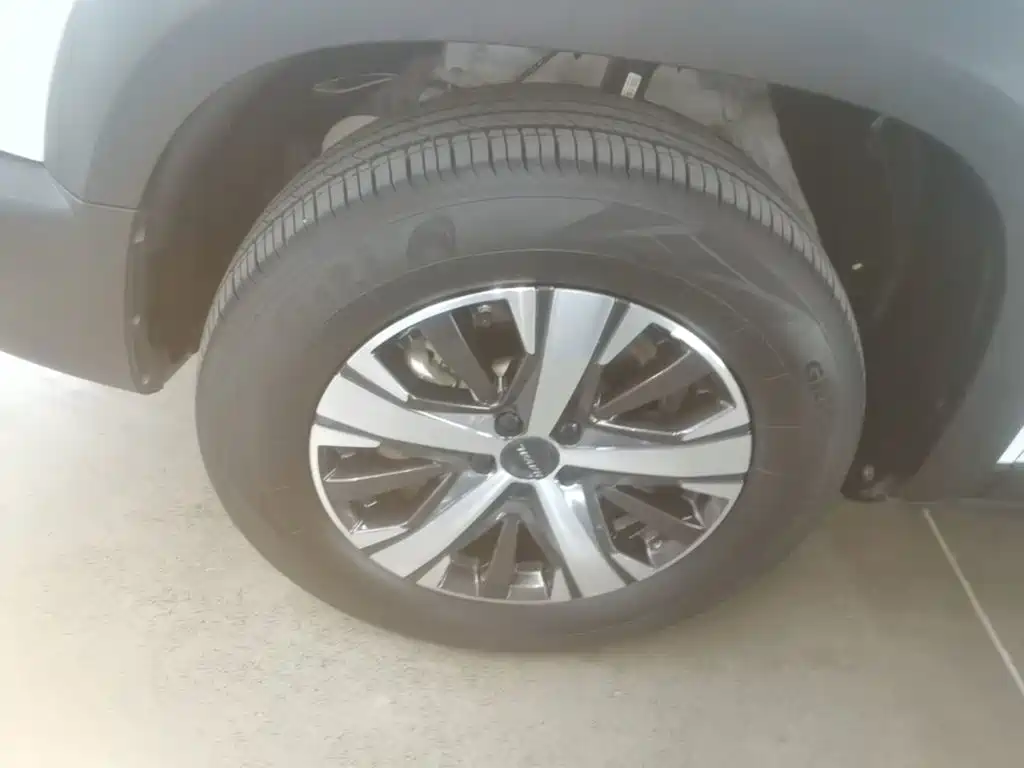 Haval Big Dog — миниатюра 23