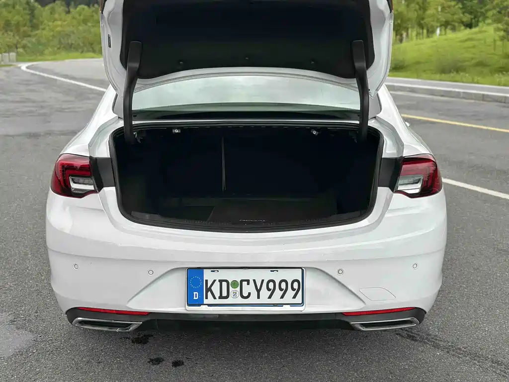 Buick Regal — миниатюра 11
