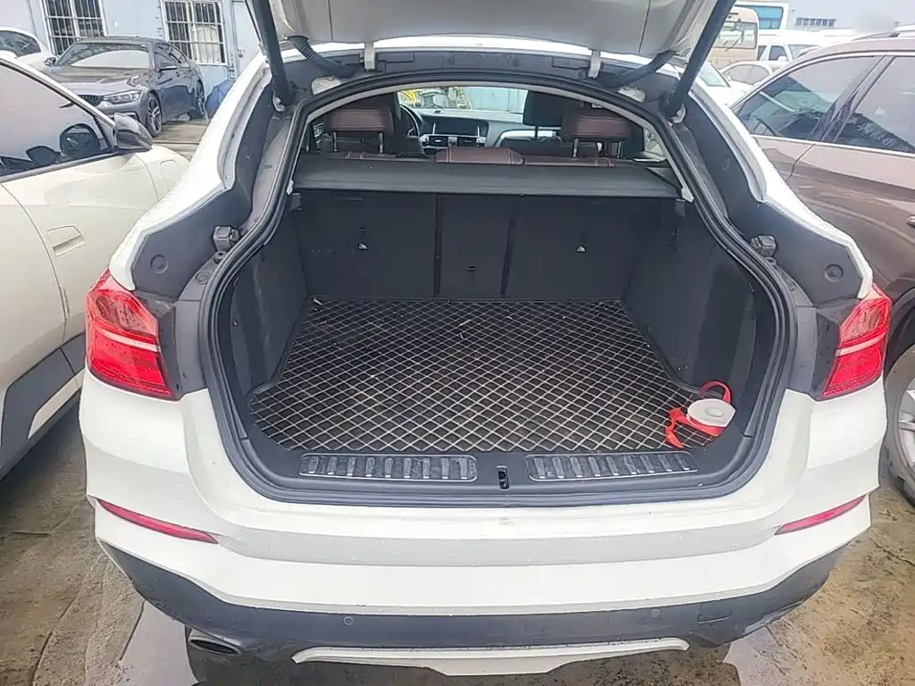 BMW X4 — миниатюра 19