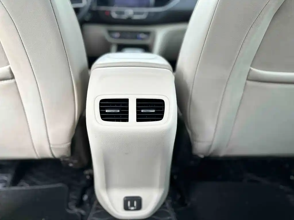 Buick Regal — миниатюра 13