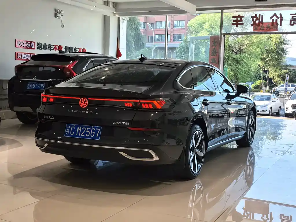 Volkswagen Lamando — миниатюра 24