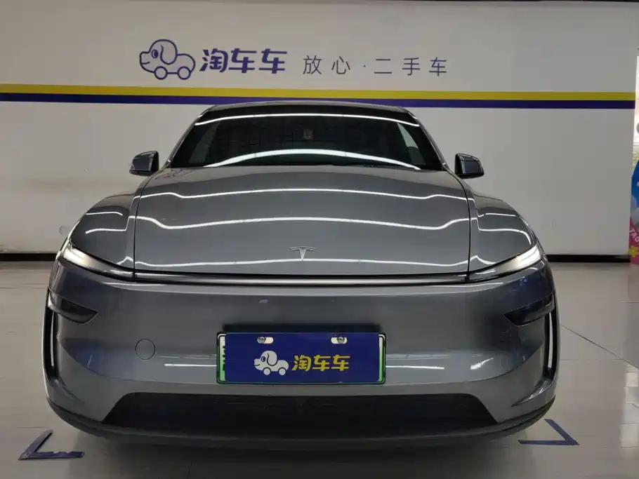 Tesla Model Y — миниатюра 2