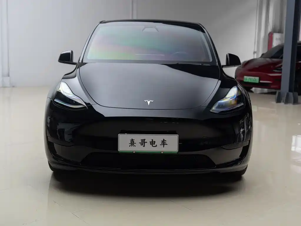 Tesla Model Y — миниатюра 2