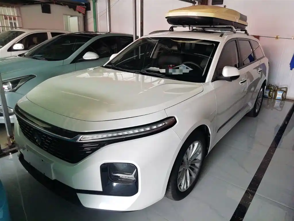 Baojun Valli 2021
