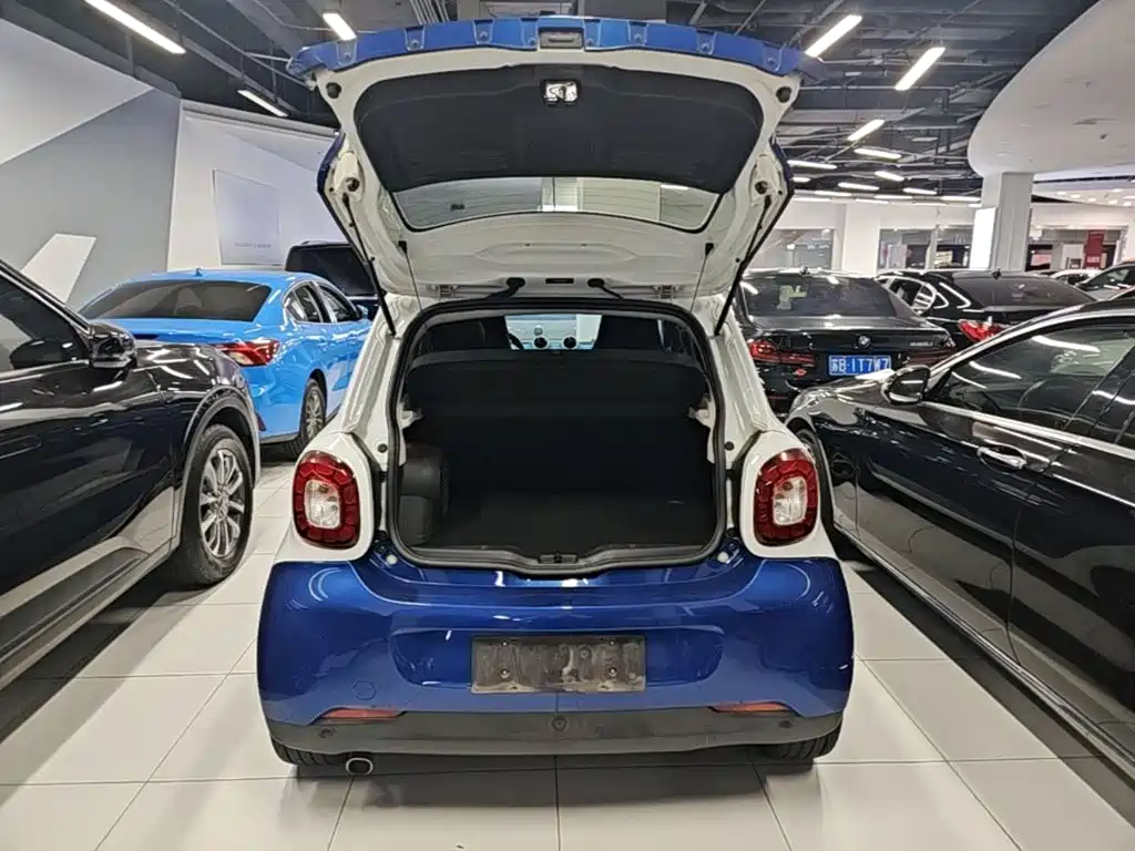 smart Smart Forfour — миниатюра 19