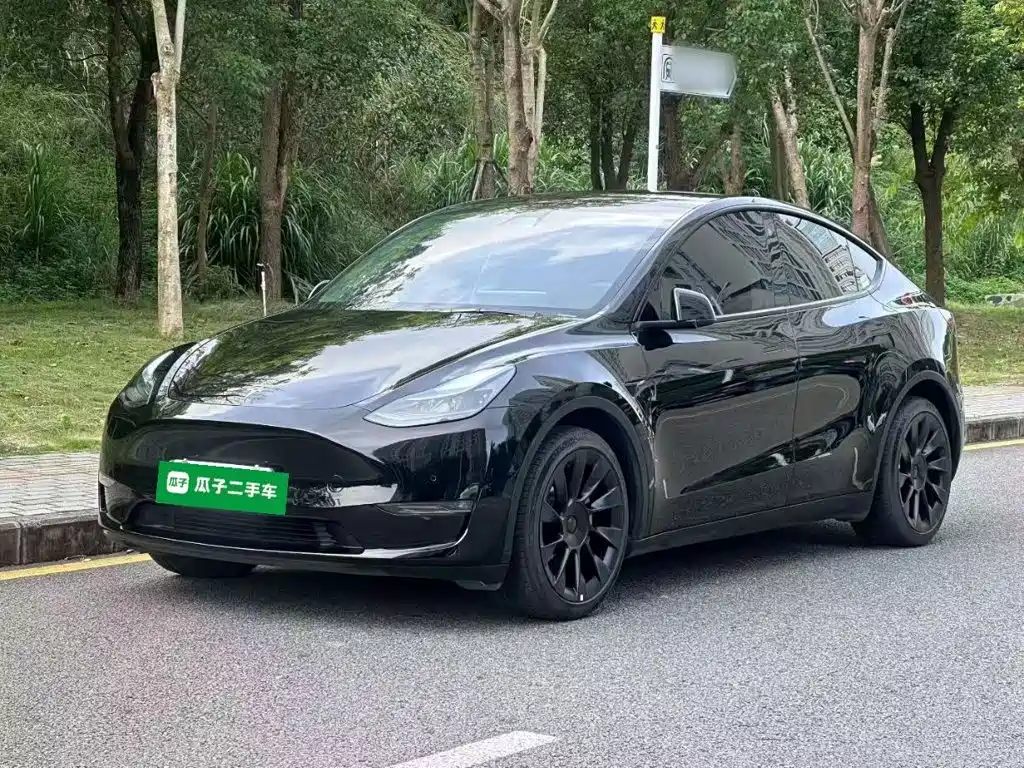 Tesla Model Y — миниатюра 2
