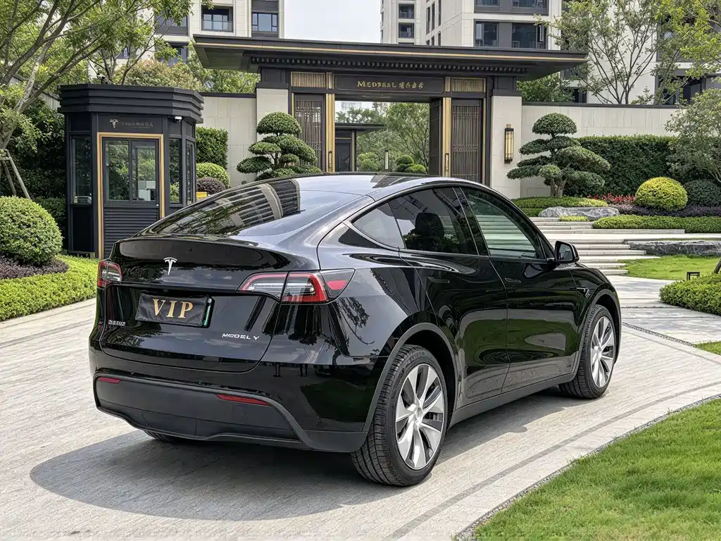 Tesla Model Y — миниатюра 9