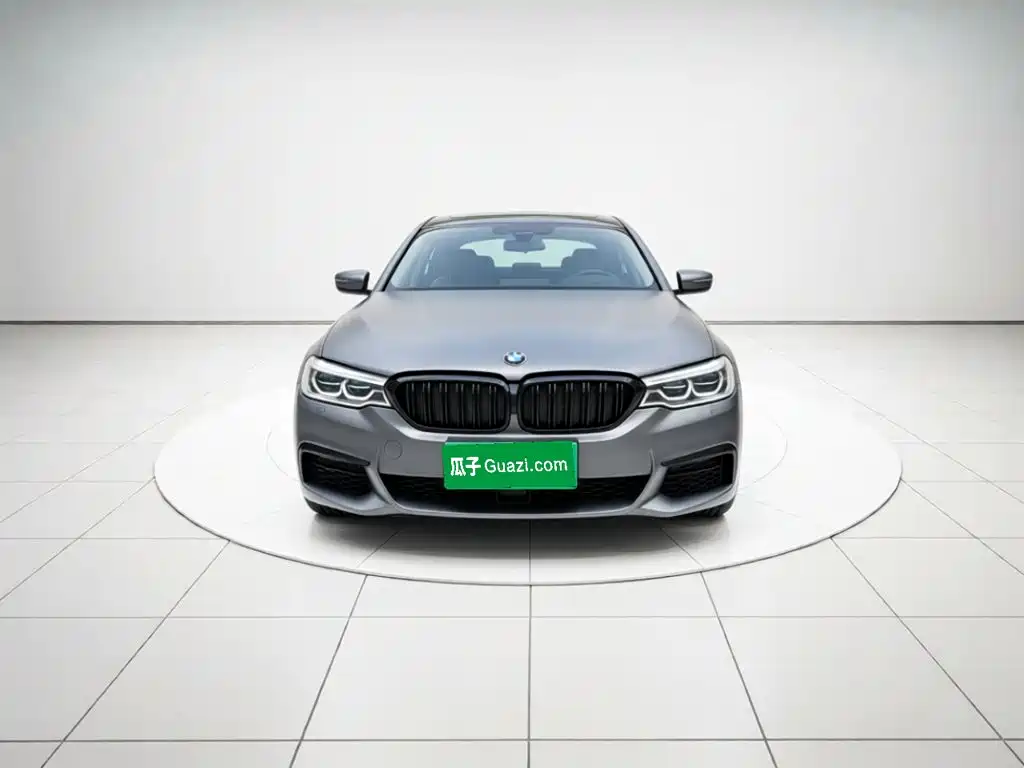 BMW 5 Series (Import) — миниатюра 2