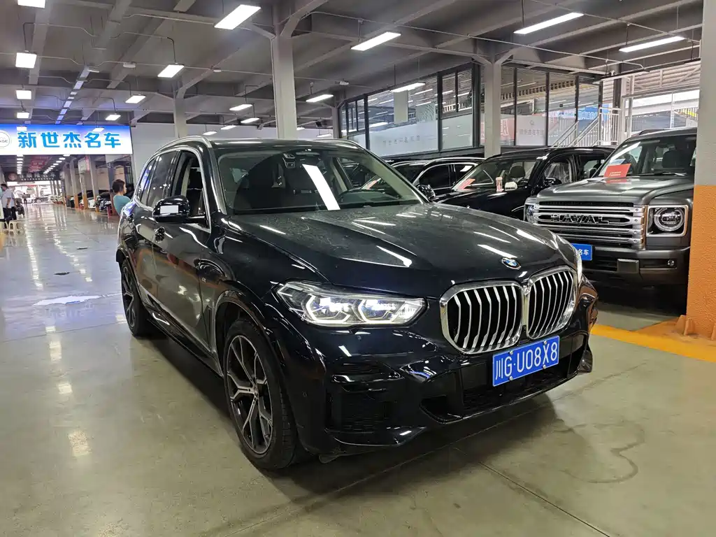 BMW X5 (Import) — миниатюра 3