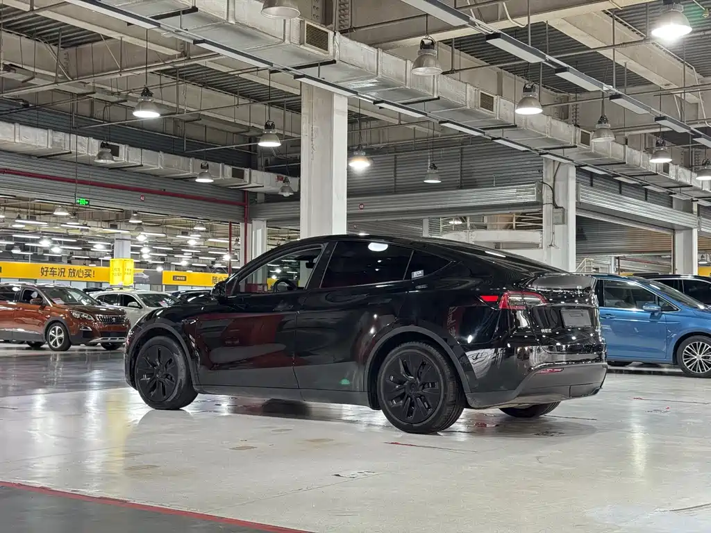 Tesla Model Y — миниатюра 6