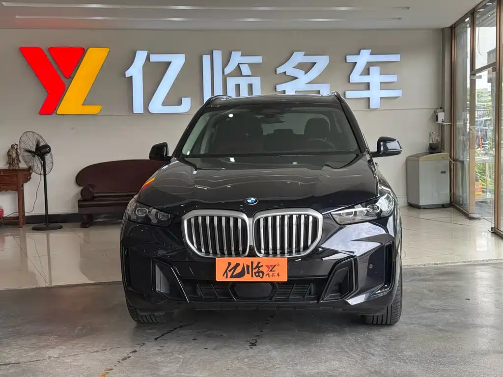 BMW X5 — миниатюра 2