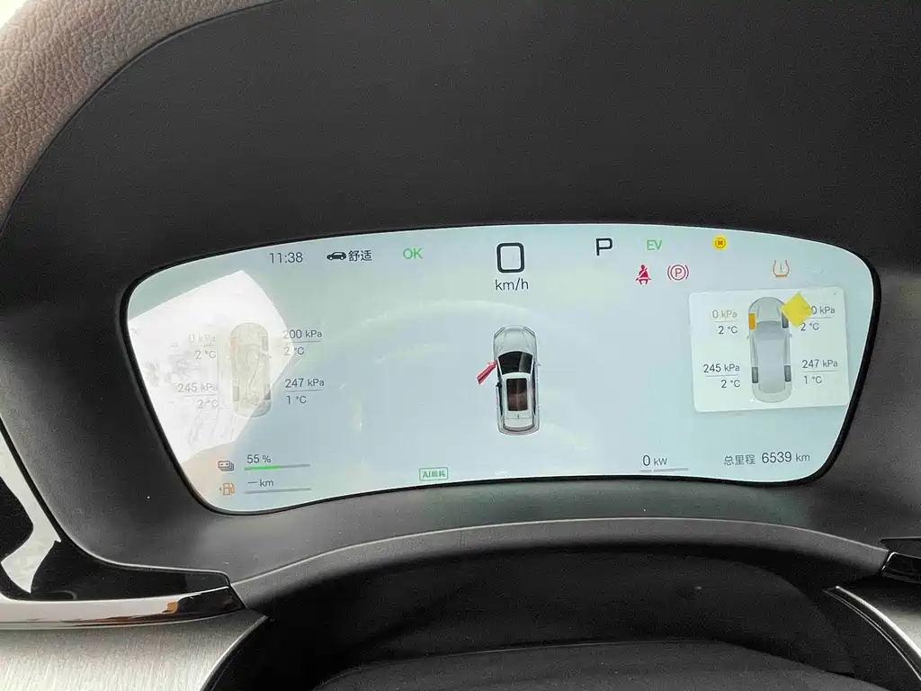 BYD SONGJIANG NEW ENERGY