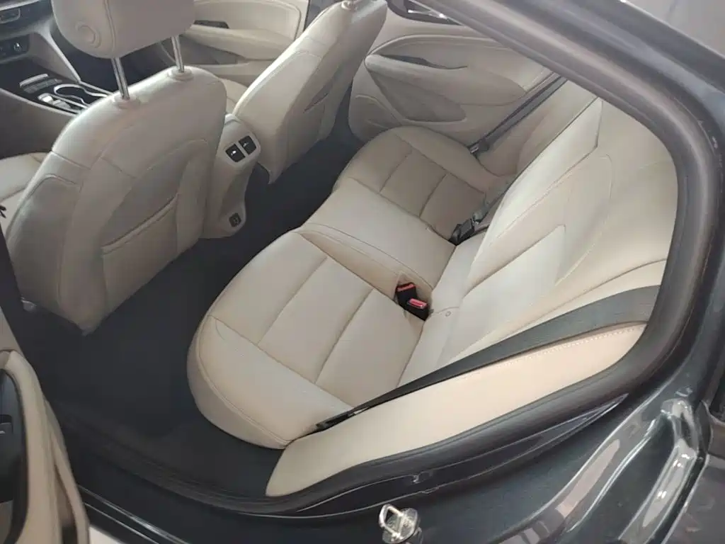 Buick Regal — миниатюра 17