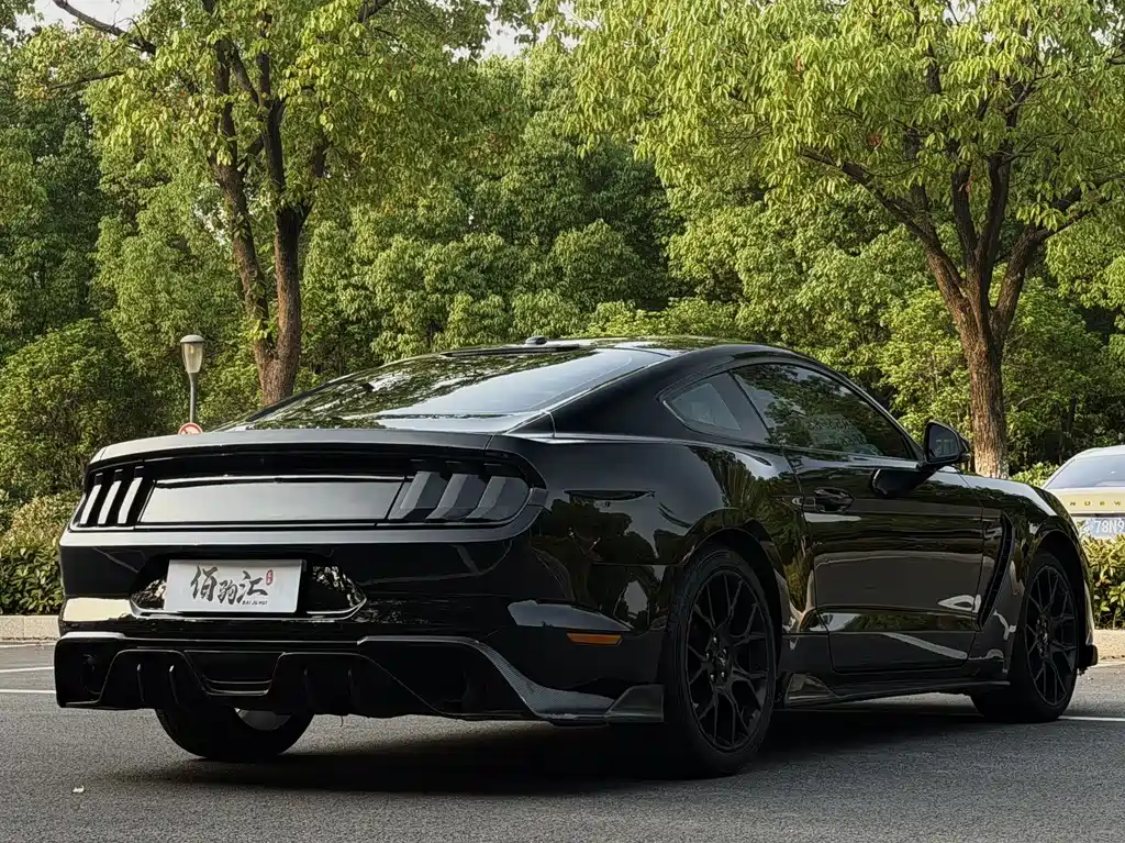 Ford Mustang — миниатюра 7
