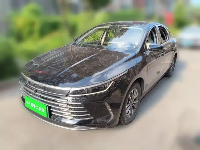 2024 BYD Destroyer