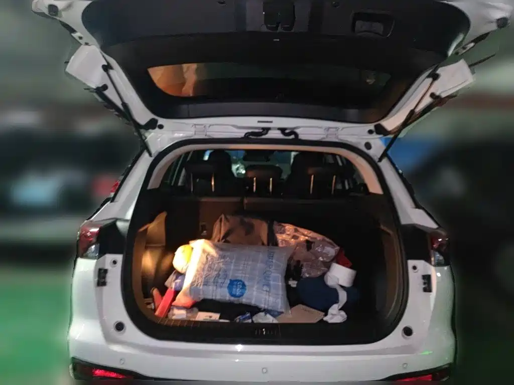 GAC Motor Trumpchi GS4 — миниатюра 15