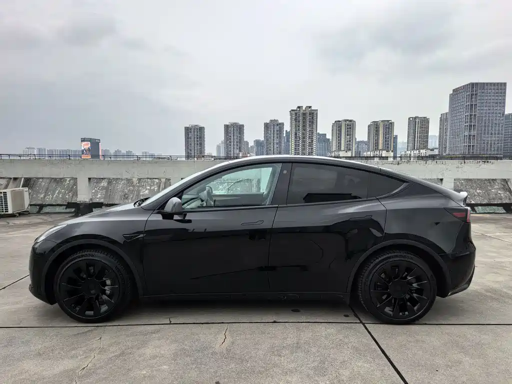Tesla Model Y — миниатюра 5
