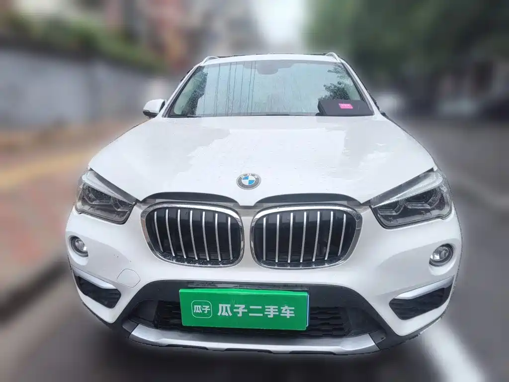 BMW X1 — миниатюра 2