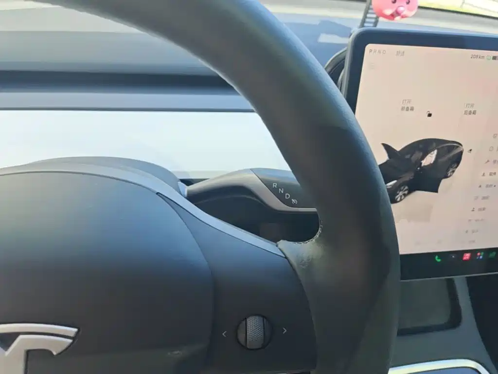 Tesla Model Y — миниатюра 14