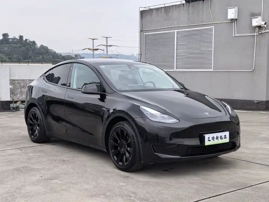 Tesla Model Y — миниатюра 2