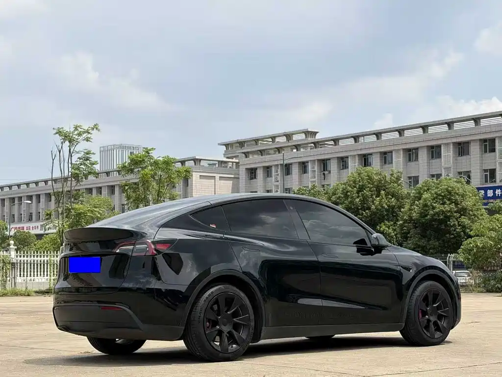 Tesla Model Y — миниатюра 7