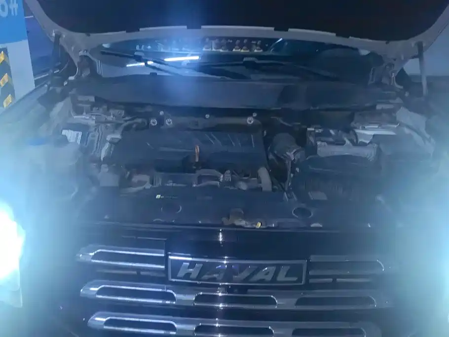 Haval Big Dog — миниатюра 10