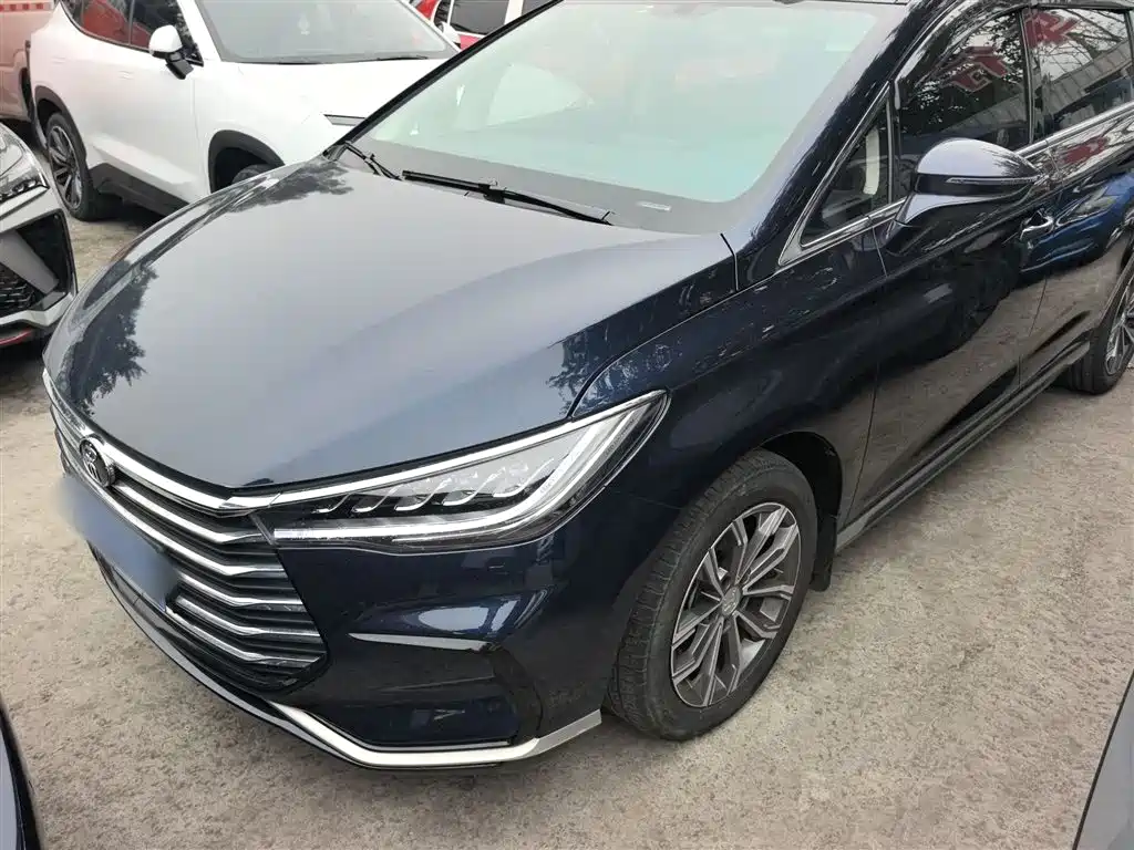 Byd MAX 2021