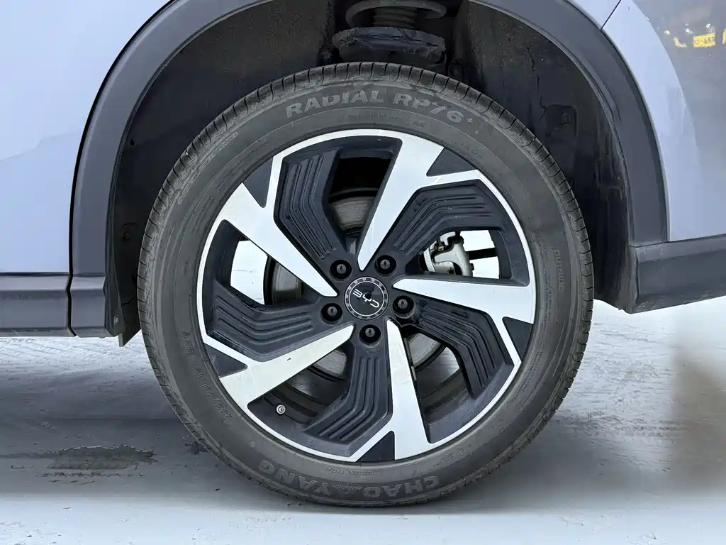 BYD SEA LION 05 DM I