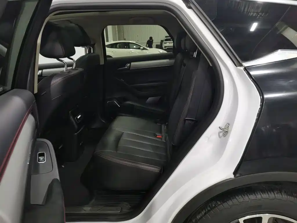 BYD Tang New Energy — миниатюра 15