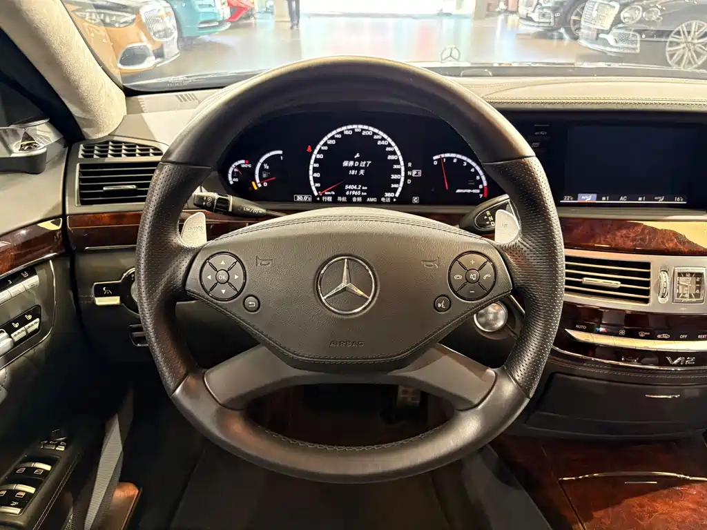 Mercedes-Benz S-Class AMG AMG S 65 L Grand Edition, фото 17