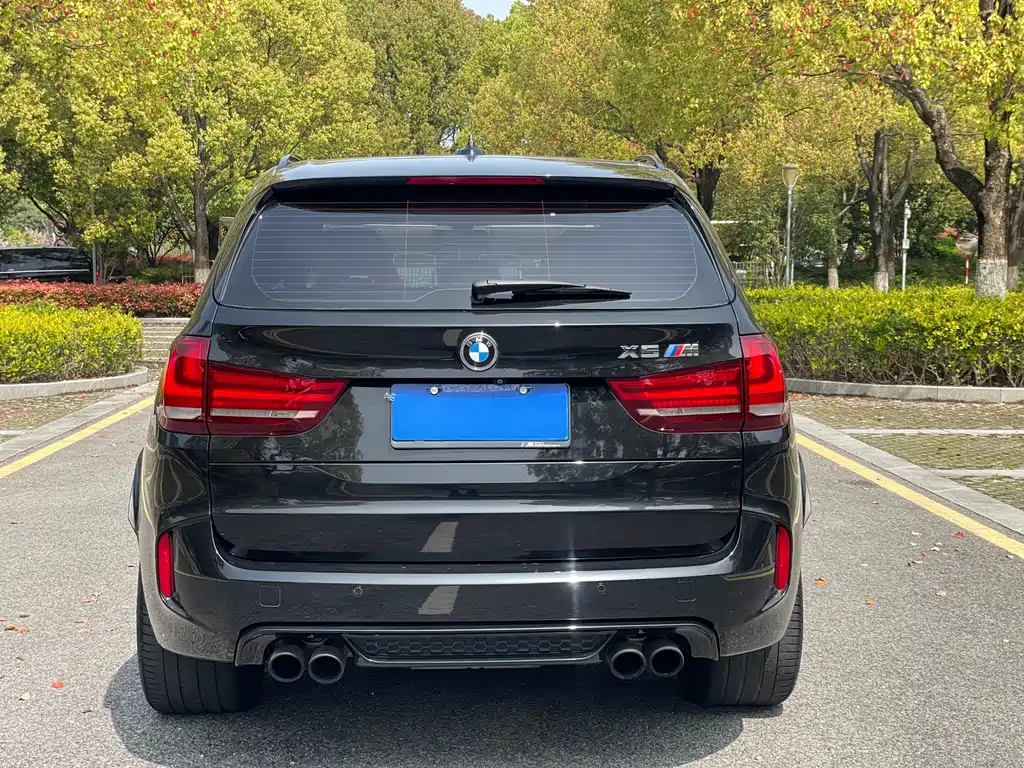 BMW X5 M 2013 X5 M
