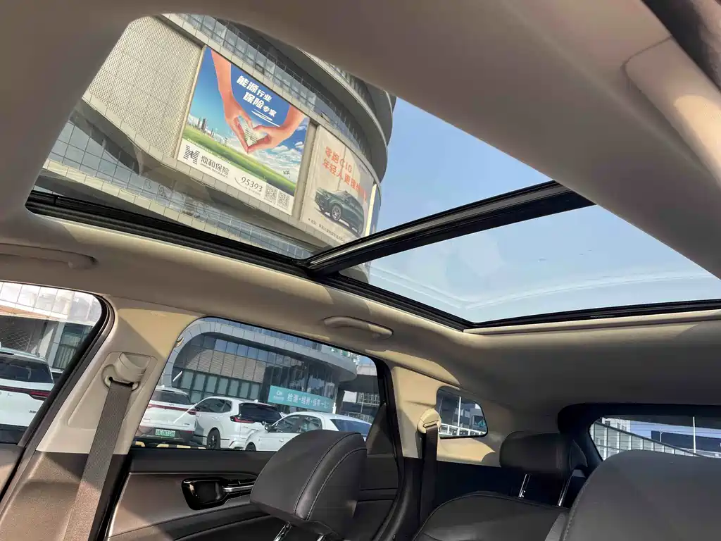 KIA LION PLATINUM EXPANDS THE WORLD