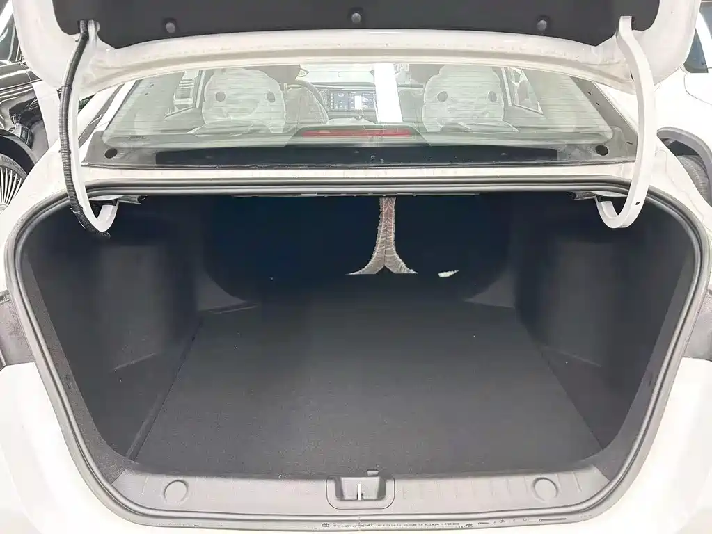 GEELY AUTOMOBILE BINRUI